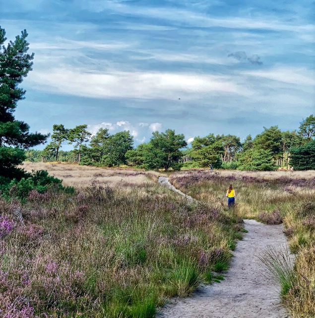 Las mejores escapadas desde Bruselas para disfrutar de la naturaleza